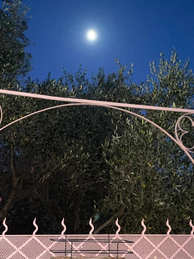 Villa Fieschi Cogorno Bagian luar foto